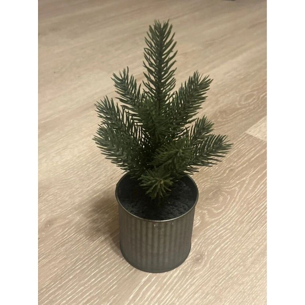 Target Small Decrative Evergreen Tree